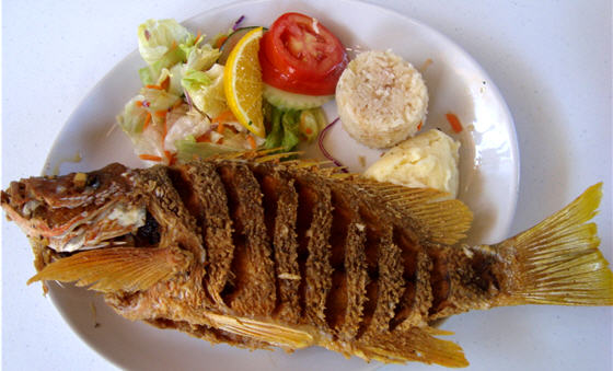 mariscos el toro guero